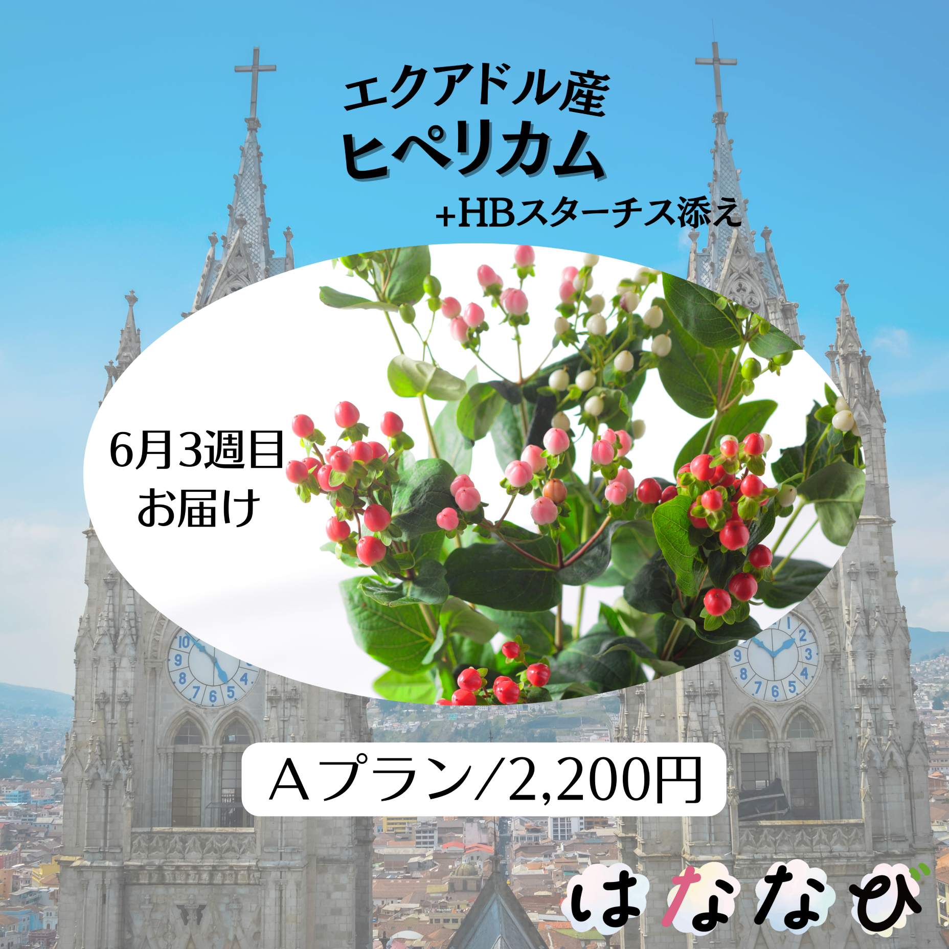 はななび宅配便【6月1回】3週目お届けの画像