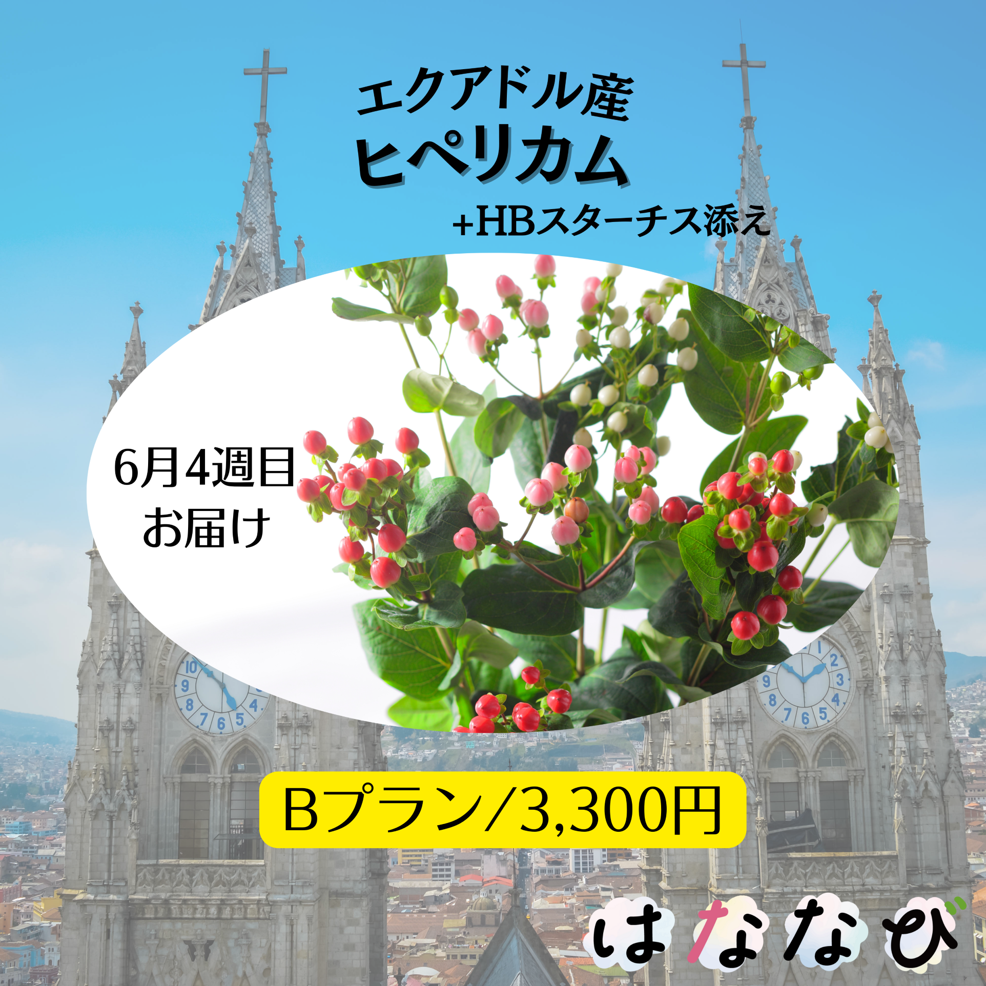 はななび宅配便【6月1回】4週目お届けの画像