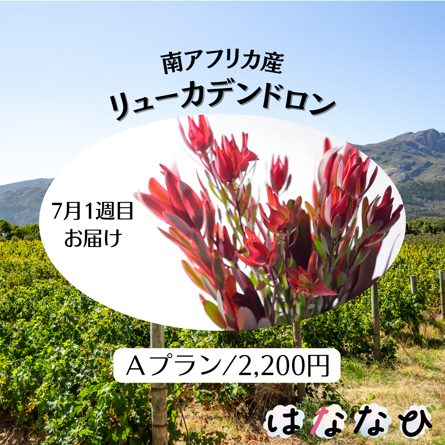 はななび宅配便【7月1回】1週目お届けの画像