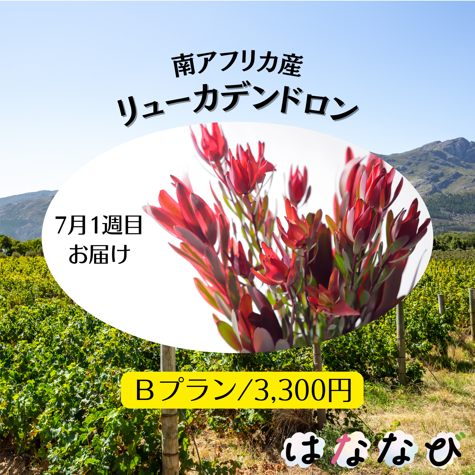 はななび宅配便【7月1回】1週目お届けの画像