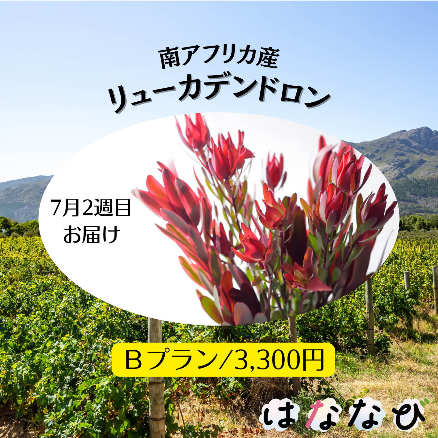 はななび宅配便【7月1回】2週目お届けの画像