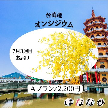 はななび宅配便【7月1回】3週目お届けの画像