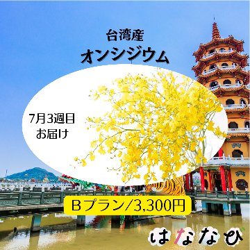 はななび宅配便【7月1回】3週目お届けの画像