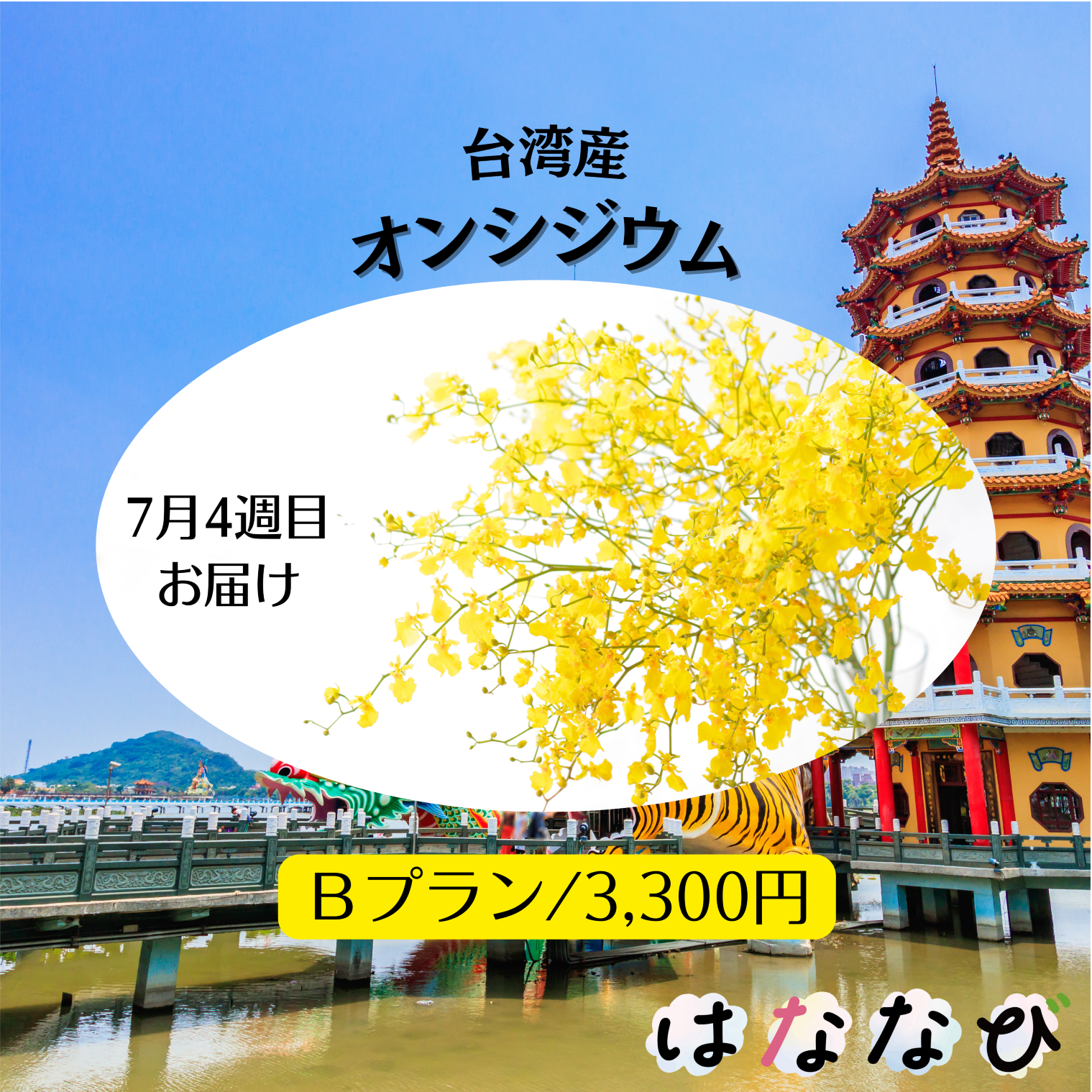 はななび宅配便【7月1回】4週目お届けの画像