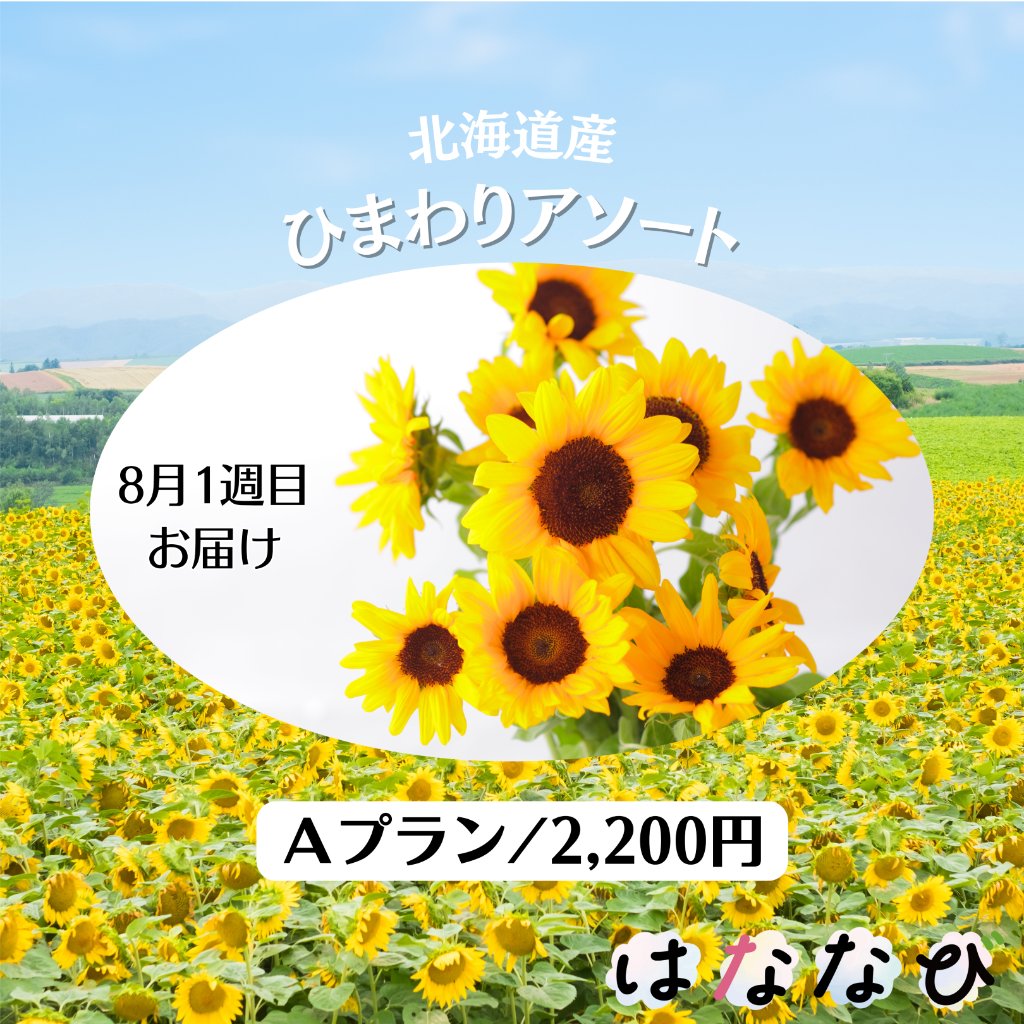 はななび宅配便【8月1回】1週目お届けの画像