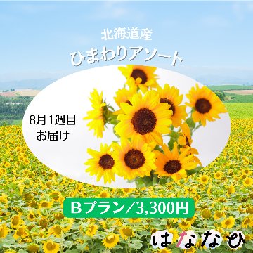 はななび宅配便【8月1回】1週目お届けの画像