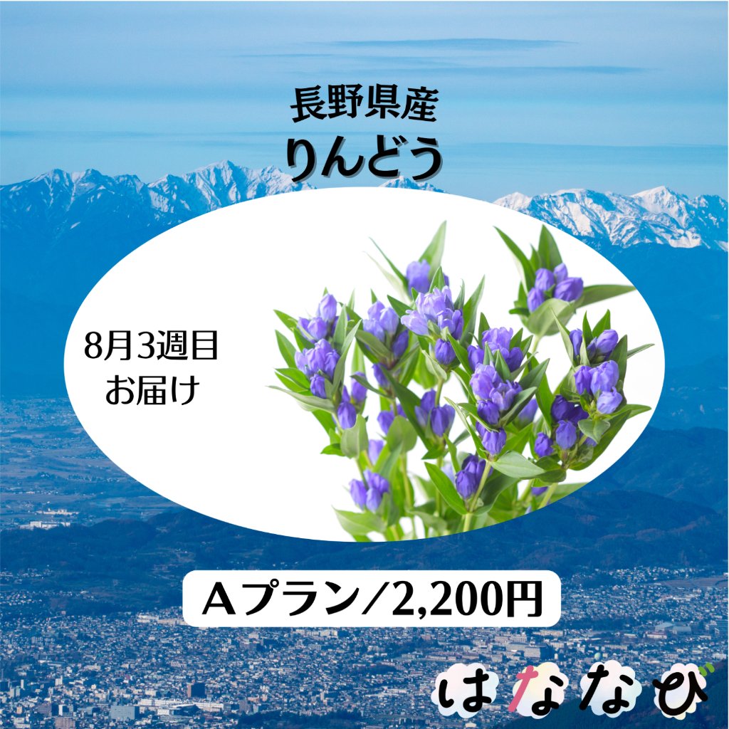 はななび宅配便【8月1回】3週目お届けの画像