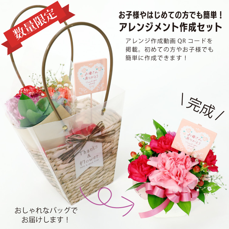 楽天市場】【ポイント5倍26日11：59まで☆昼12時まで本日出荷