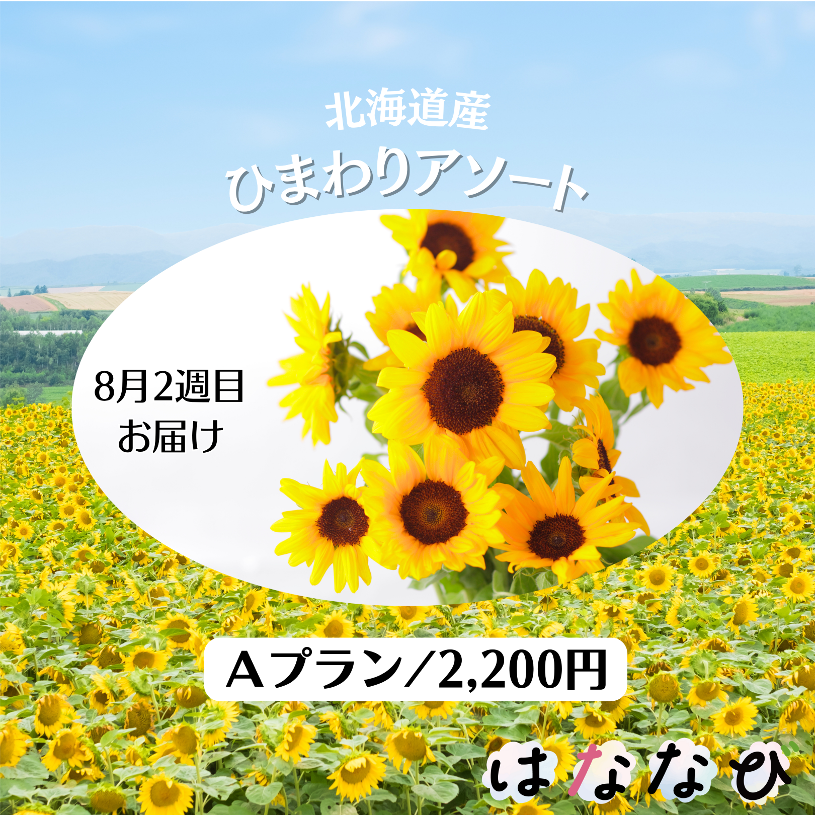 はななび宅配便【8月1回】2週目お届けの画像
