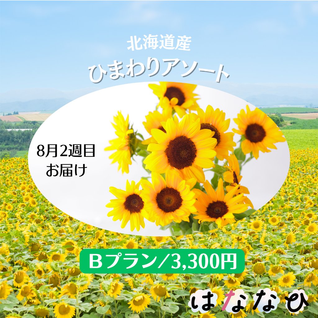 はななび宅配便【8月1回】2週目お届けの画像