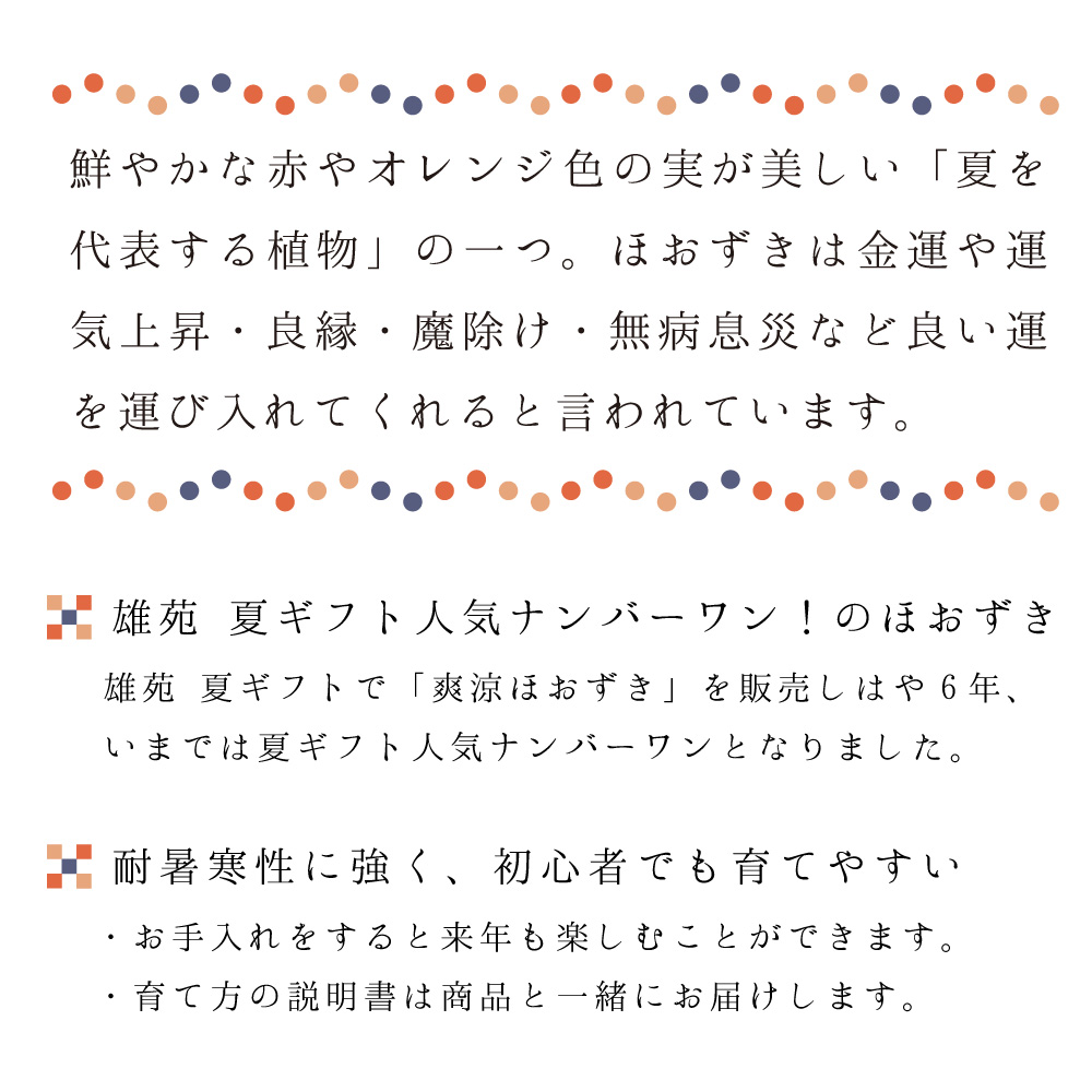 【夏ギフト2026】爽涼ほおずきの画像