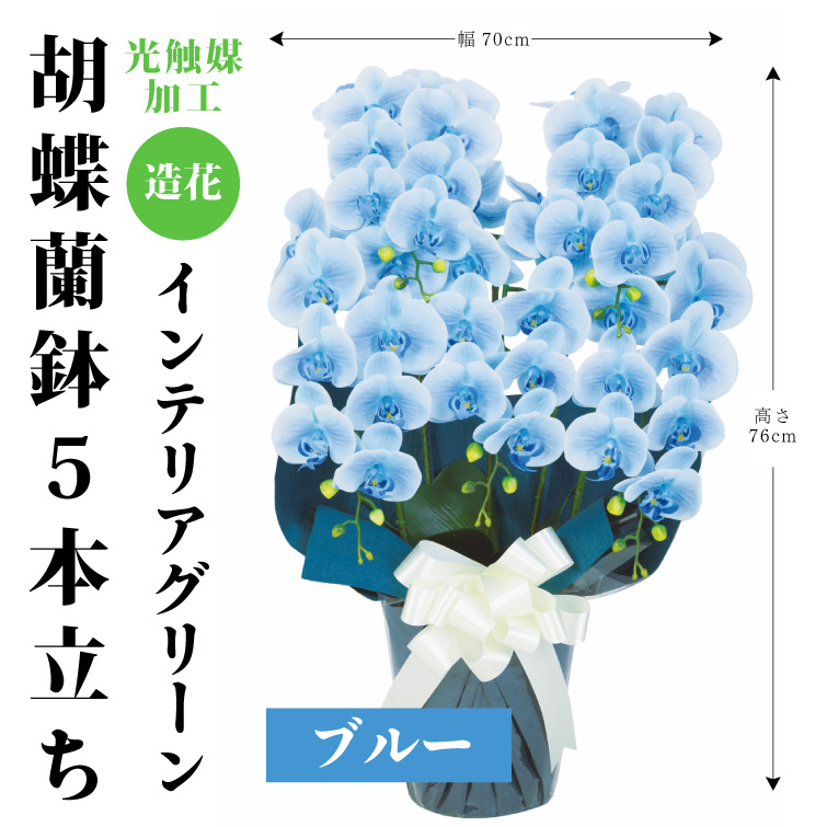 【夏ギフト2025】インテリアグリーン胡蝶蘭5本立ちの画像