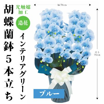 【夏ギフト2025】インテリアグリーン胡蝶蘭5本立ちの画像