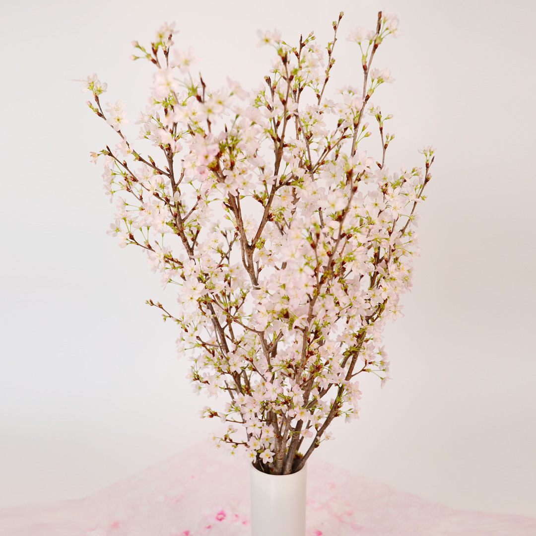 さくらさくブーケ（山形県産 啓翁桜）の画像