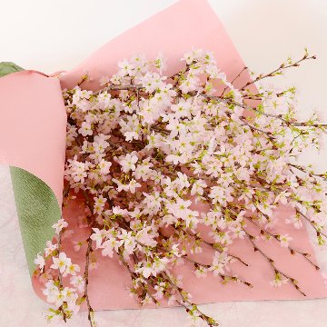 さくらさくブーケ（山形県産 啓翁桜）の画像