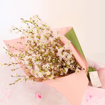 さくらさくブーケ（山形県産 啓翁桜）の画像