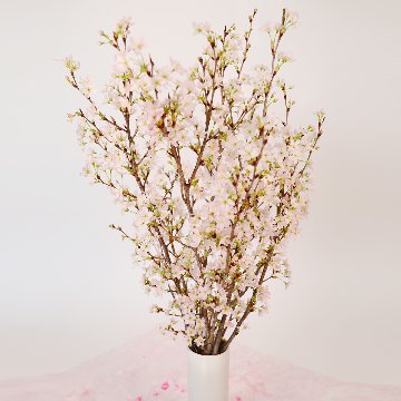 さくらさくブーケ（山形県産 啓翁桜）の画像