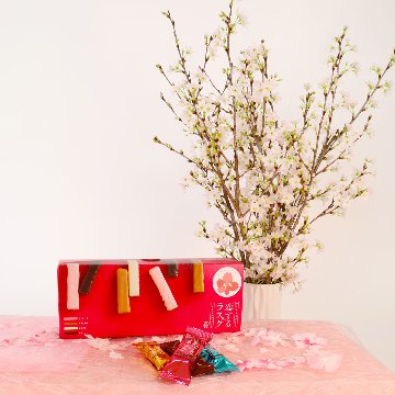 さくらなび 【啓翁桜×長崎カステラ恋するラスク】 セットの画像