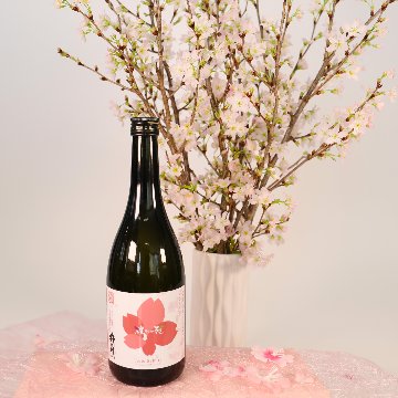 さくらなび 【啓翁桜×杵の川の春　日本酒（大吟醸）】 セットの画像