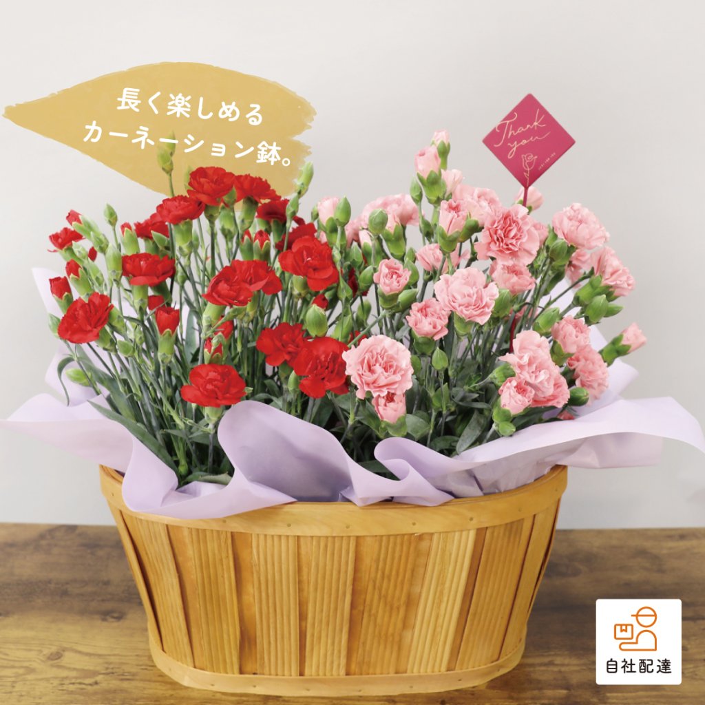 【2026母の日】イロドリ バスケットの画像