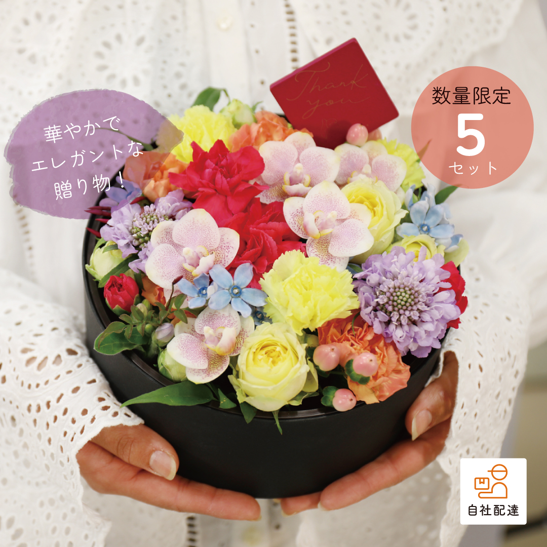 【2026母の日】イロドリ パレットの画像