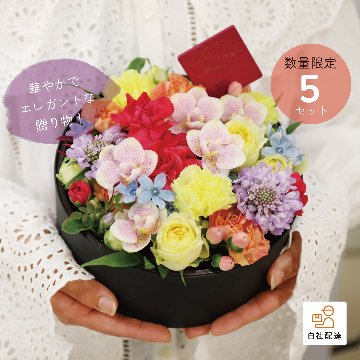 【2026母の日】イロドリ パレットの画像