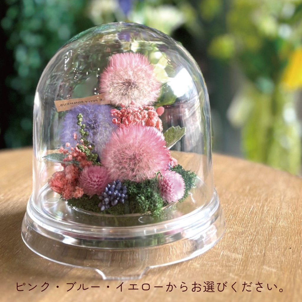 【2026母の日】たんぽぽフィールドドーム の画像