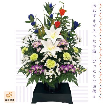 【夏ギフト2026】想花アレンジ 夏灯の画像