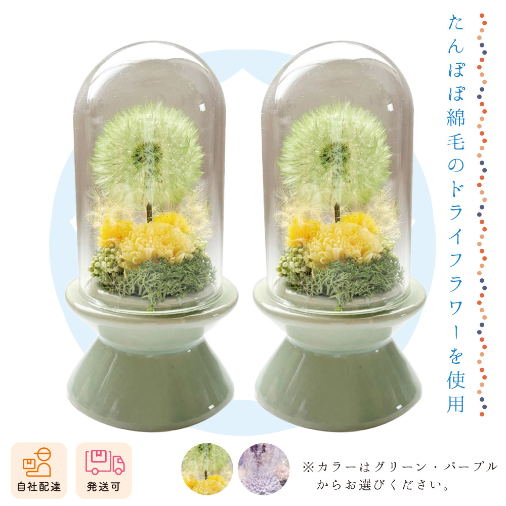 【夏ギフト2026】マルコ（対）の画像