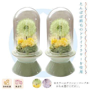 【夏ギフト2026】マルコ（対）の画像