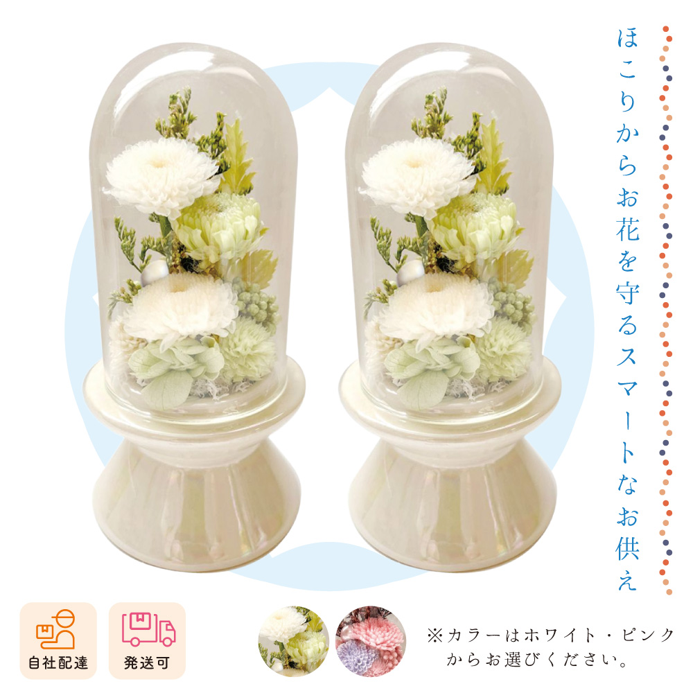 【夏ギフト2026】クリント（対）の画像