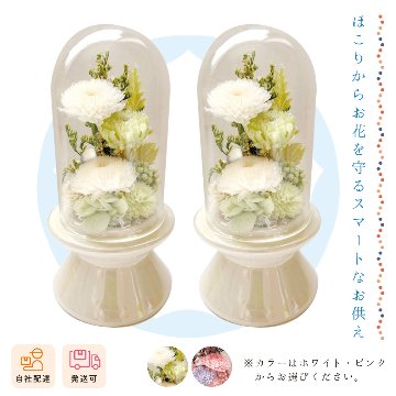 【夏ギフト2026】クリント（対）の画像