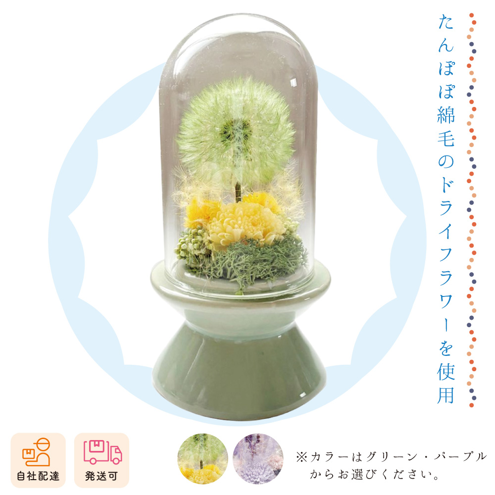 【夏ギフト2026】マルコ（一個）の画像