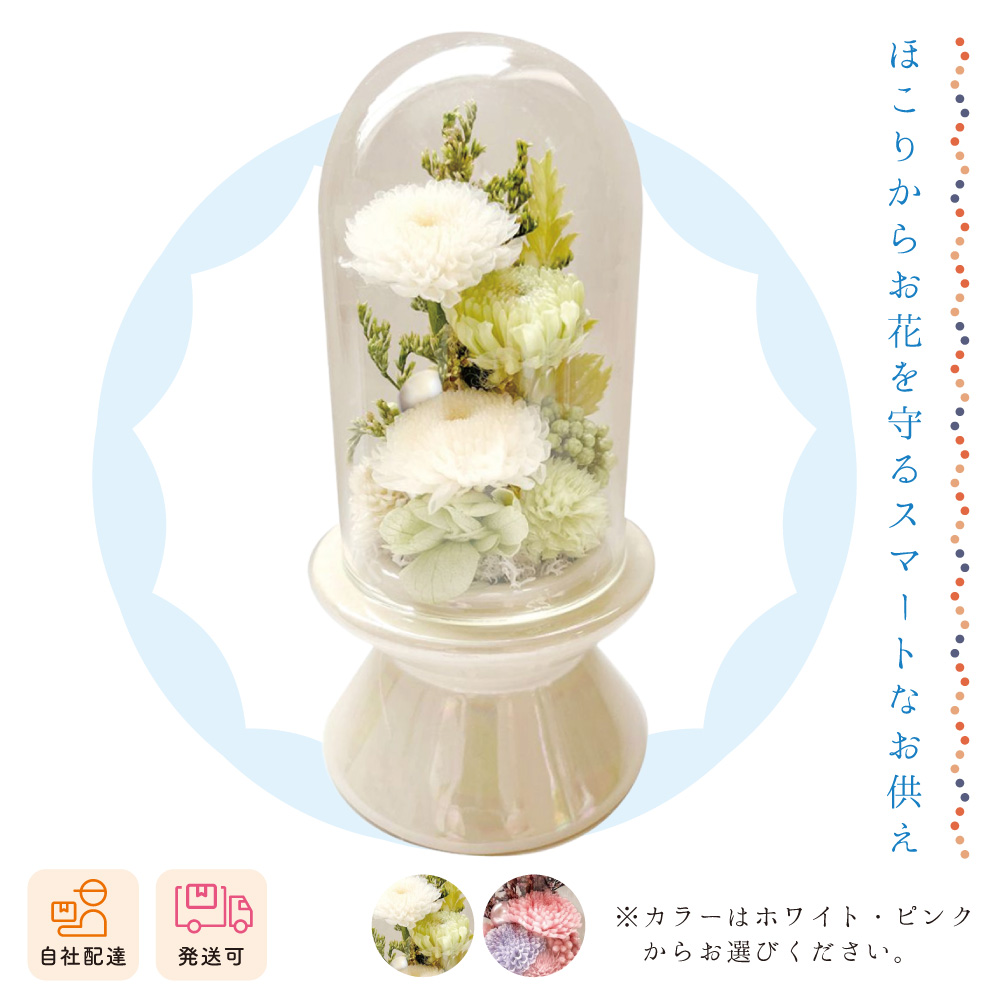 【夏ギフト2026】クリント（一個）の画像