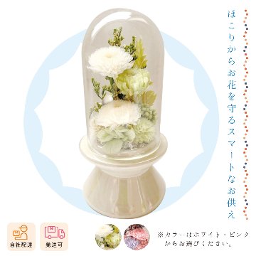 【夏ギフト2026】クリント（一個）の画像