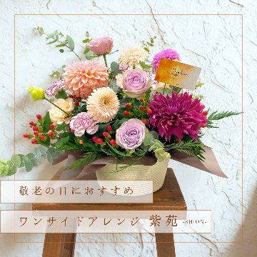 【敬老の日ギフト】ワンサイドアレンジ紫苑 -SHION-の画像