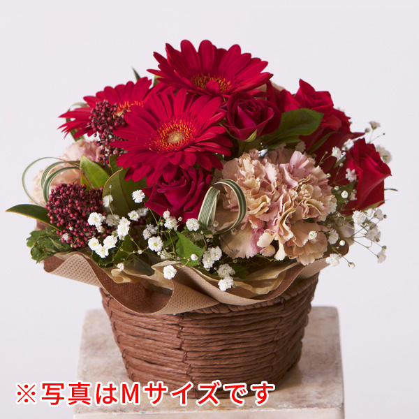 ラウンド アレンジ LL【レッド】の画像