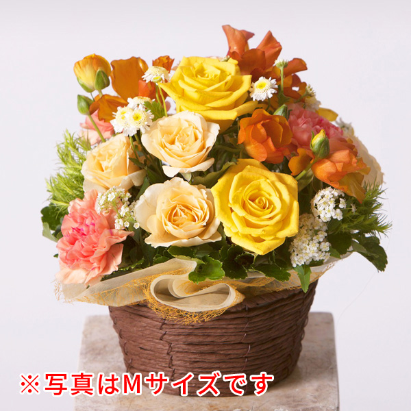 ラウンド アレンジ M【オレンジ】の画像