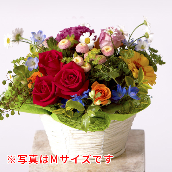 ラウンド アレンジ M【ミックス】の画像