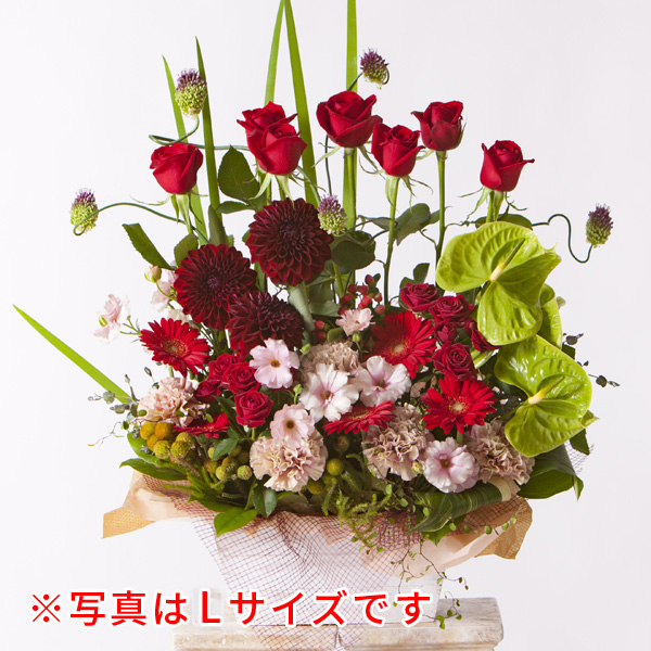 ワンサイドアレンジ L【レッド】の画像