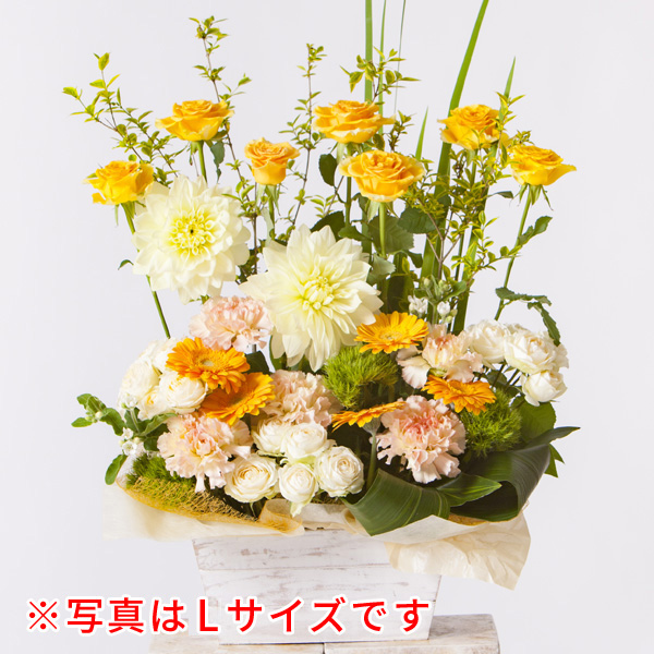 ワンサイドアレンジ M【オレンジ】の画像