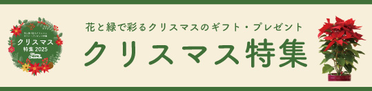冬ギフト