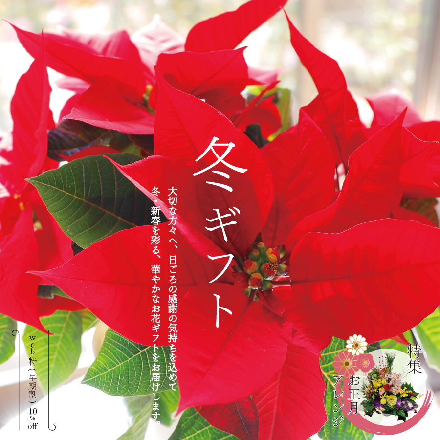 冬ギフト