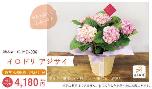 母の日