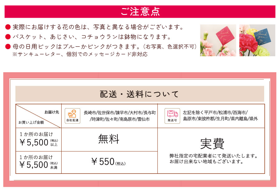 母の日 注意点・送料