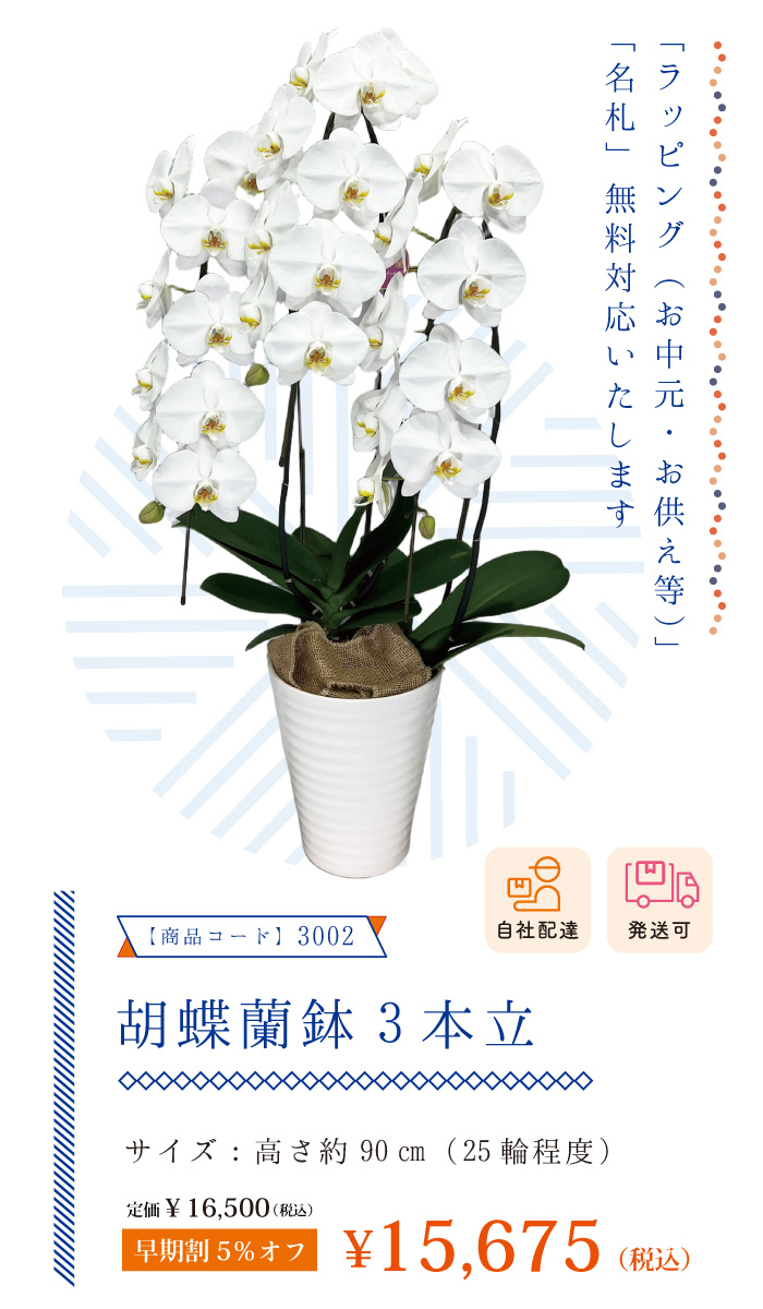 お中元ギフト