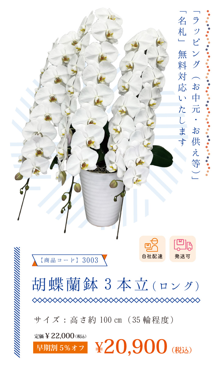 お中元ギフト