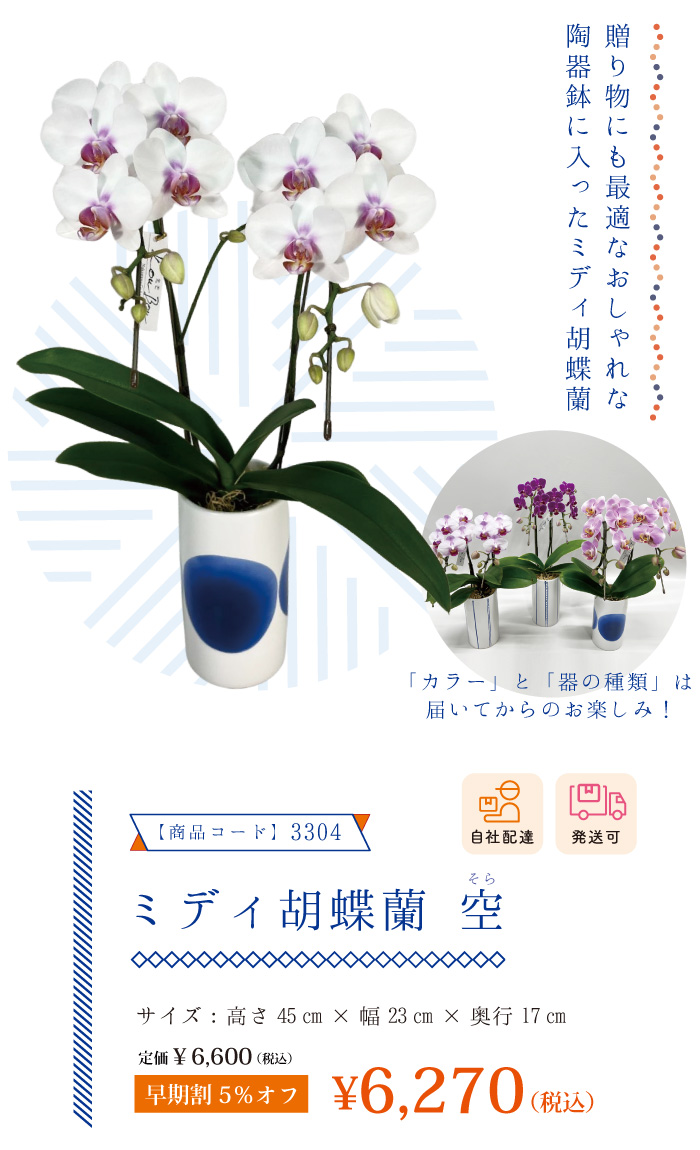 お中元ギフト
