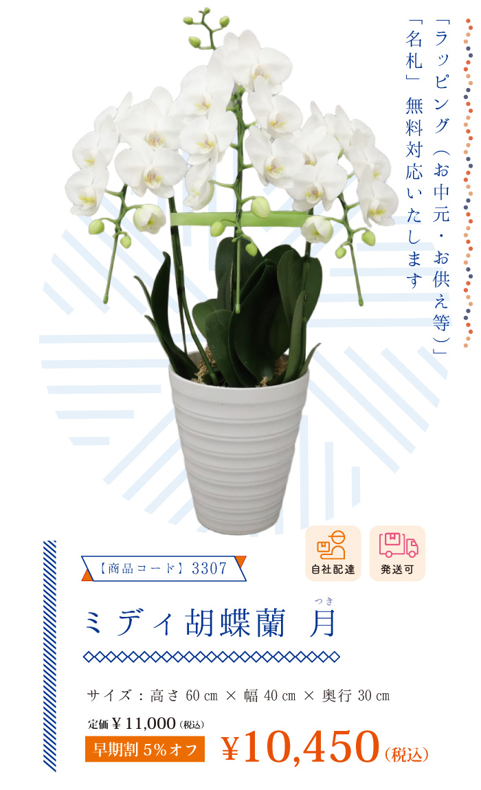 お中元ギフト