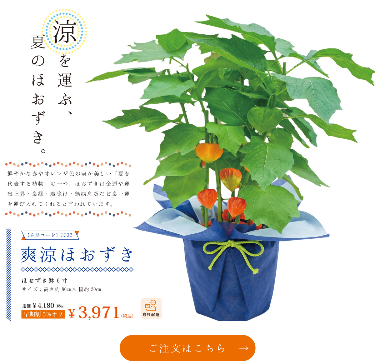 夏ギフト